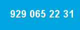 929 065 22 31
